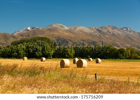 neat round haystacks on the background field, mountain snow peaks, countryside, forests and the nature in Neuve Zeland