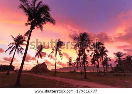 road to the sea silhouette of palm trees on the background of the sunset sky near tropical beach with hills