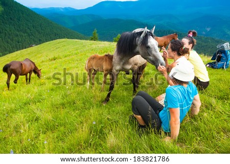 a group of friends, mountain tourists resting on the grass among the flocks of wild horses and their calves against the blue sky.