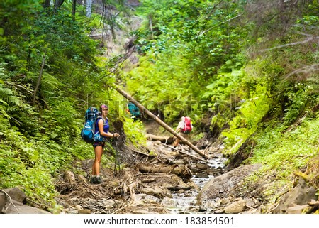 Group of Friends of hikers going up the mountain wood stream, overcoming obstacles.