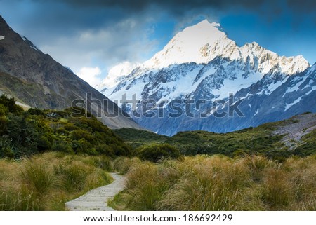 Boardvalk, Wooden Path towards green through swampy thicket from Glentanner Park Centre Mount Cook, New Zealand., Southern Alps.