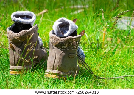 Trekking shoes with socks on green grass. Butterfly sitting on his toes.