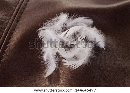 furniture - natural feather fill presentation