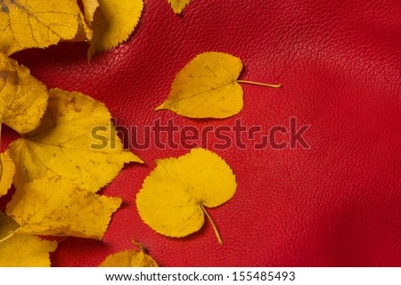 leaves lying on red leather - autumn accent