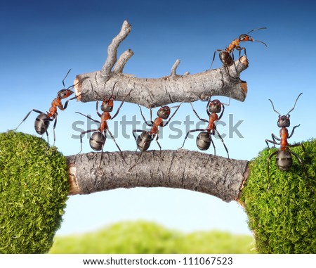 team of ants carry log on bridge, teamwork concept