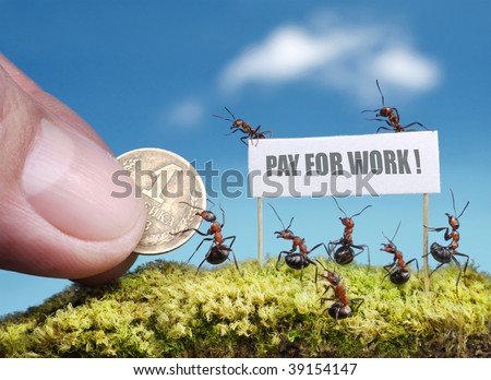 حياة نملة: 30 صورة مذهلة لعالم النمل من إبداع المصور أندريه بافلوف Stock-photo-ants-demand-payment-for-work-39154147