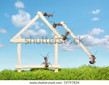 team of ants constructing wooden house with matches