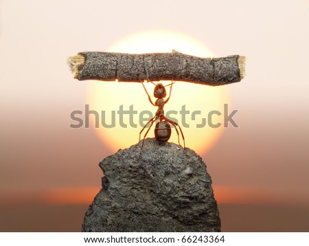 حياة نملة: 30 صورة مذهلة لعالم النمل من إبداع المصور أندريه بافلوف Stock-photo-statue-of-labour-ants-civilization-living-million-years-because-of-working-66243364