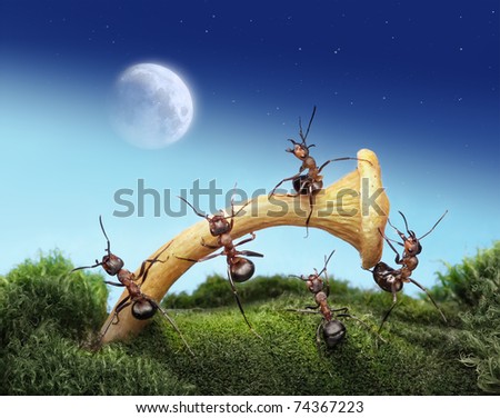 حياة نملة: 30 صورة مذهلة لعالم النمل من إبداع المصور أندريه بافلوف Stock-photo-team-of-ants-launches-spaceman-to-the-moon-teamwork-fantasy-74367223