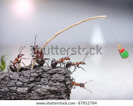 team of anglers, ants fishing at sea, teamwork