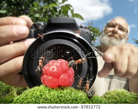 حياة نملة: 30 صورة مذهلة لعالم النمل من إبداع المصور أندريه بافلوف Stock-photo-macro-photographer-managing-ants-focused-on-ants-87852772