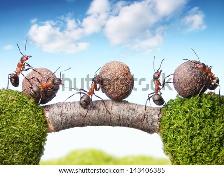 Team Of Ants Rolling Stones On Bridge, Teamwork