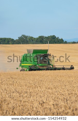 green harvester reaps wheat in the field