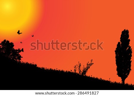 Vector silhouette landscape with trees at sunset background.