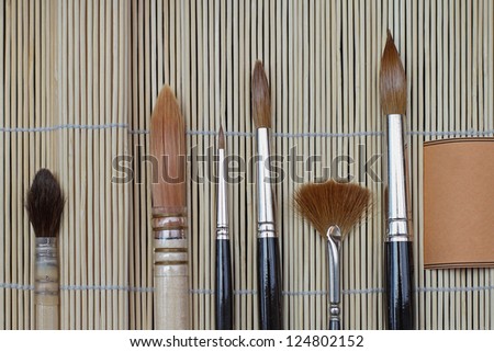 Various artistic paint brushes for fine art