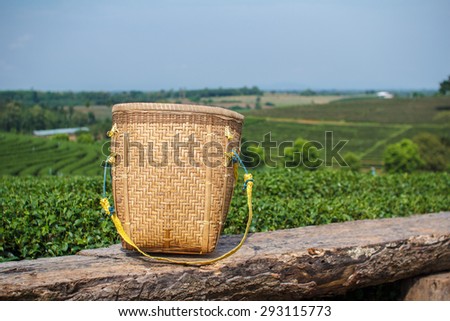 Tea picker bag on tea farm