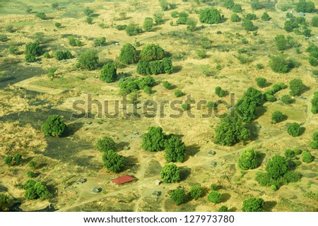green and yellow pasture with single trees and a single house