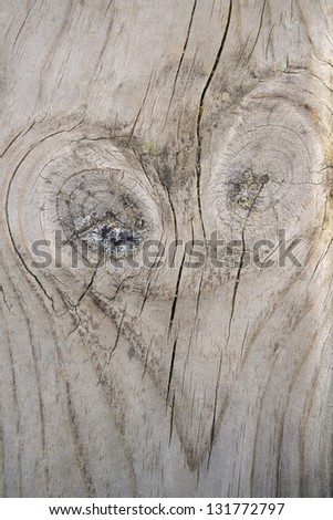 Heart and wooden background. When nature talks about love