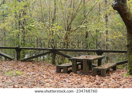 Autumn scene in a natural park with  picnic and recreation facilities.
