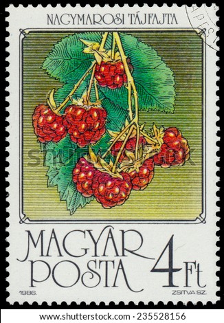 HUNGARY - CIRCA 1986: stamp printed by Hungary, shows Raspberries, series is devoted to fruits, circa 1986