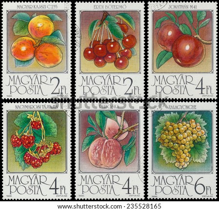 HUNGARY - CIRCA 1986: stamp printed by Hungary, shows Apricots, series is devoted to fruits, circa 1986