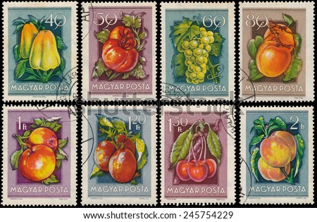 HUNGARY - CIRCA 1954: Stamps printed in Hungary show Peppers, Grapes, Apricots, Tomatoes, Apples, Peaches, Cherry, Plums, from the series \