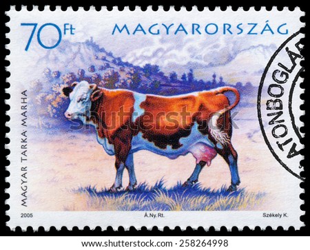 HUNGARY - CIRCA 2005: A Stamp printed in Hungary shows cow - Bos primigenius taurus, series farm animals, circa 2005