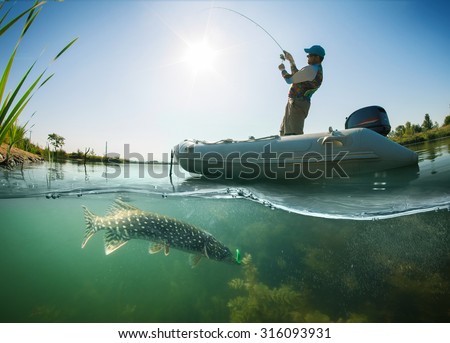 Fisherman and pike, underwater view