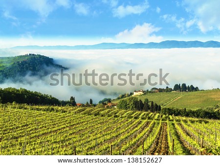 A Tuscan landscape at the beginning of the day, with the foreground the vineyards that produce one of the most prestigious wines in the world.