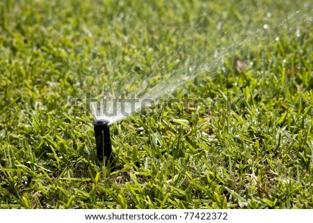 sprinkler head dispersing water on grass
