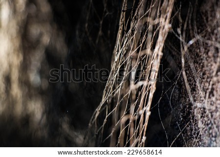 Black net abstract background