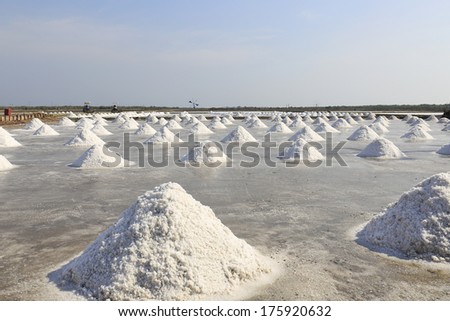 pile of salt in the salt pan at rural area of Thailand.
