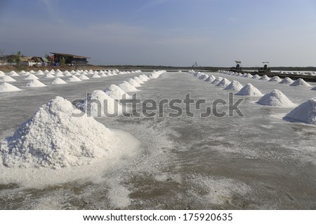 pile of salt in the salt pan at rural area of Thailand.