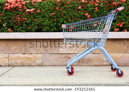 shopping carts on car park near entrance.