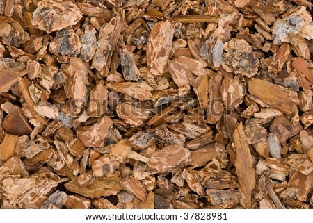 Bark mulch ground cover background