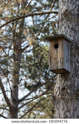 House for birds in the forest