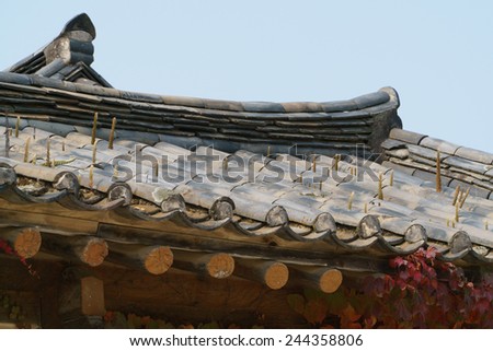 orostachys species plants on a korean traditional tiled roof