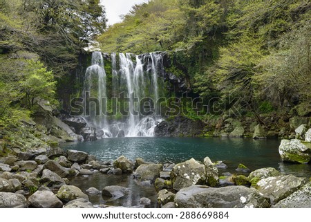 Cheonjeyeon No. 2 cascade. Cheonjeyoen falls (means the pond of God) consists of 3 falls. A variety of plant life, inclued Psilotum nudun, thrives around the falls.
