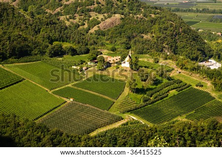 Trentino Alto Adige landscape. Panoramic view of a farm (Trentino Alto Adige, Italy) that produces wine and fine apple typical of the area.