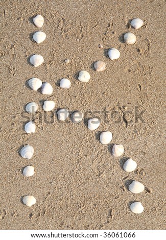 Symbols Of Shells