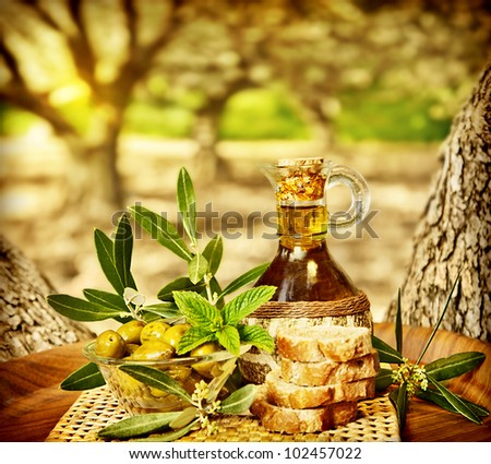 Olives still life, fresh food in garden of olive trees, farm land at countryside of Lebanon, homemade healthy olive oil and bread, harvest time