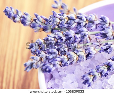 Lavender flowers and bath salt in the bowl over wood, aromatic medicinal herb, fresh plant of purple flower, organic floral branch, spa aromatherapy, cosmetics still life
