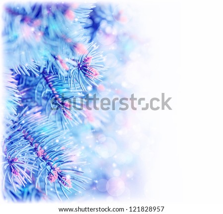 Picture of frozen pine tree border, copy space, Christmas tree covered hoar isolated on white background, spruce branch in wintertime, conifer needle covered with rime, New Year greeting card