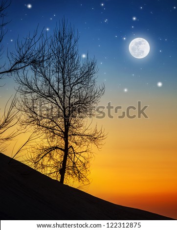 Picture of big dry tree in moonlight, silhouette of wood on hill on dark night background, bright moon with shining stars in sky, wintertime nature, dramatic sunset, starry dusk, beautiful landscape