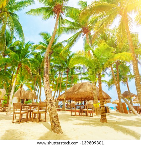 Romantic Restaurant On The Tropical Beach, Sunny Day, Palm Trees, Playa Del Carmen, North America, Day Spa, Luxury Resort, Summer Vacation Concept