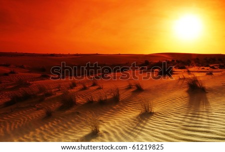 Extreme desert landscape with orange sunset
