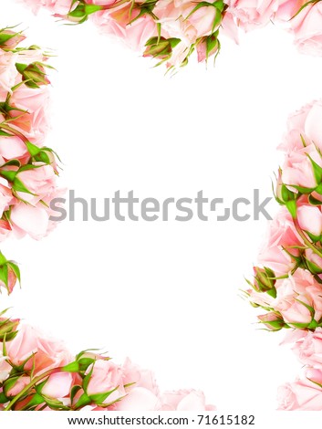  rose frames and borders Wedding limit with rose Vector Border Frame 