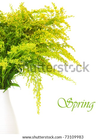 Fresh green yellow spring flowers border in the vase isolated on white background
