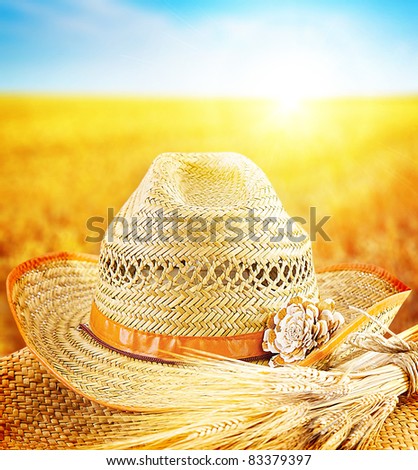 Wheat field and the hat of a farmer, agricultural business industry, autumn seasonal harvest concept