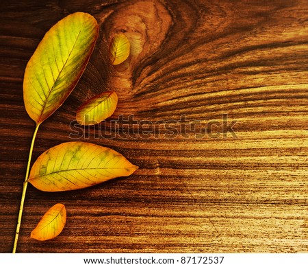 Autumn leaves over old wood background, nature at fall, abstract border with copy space